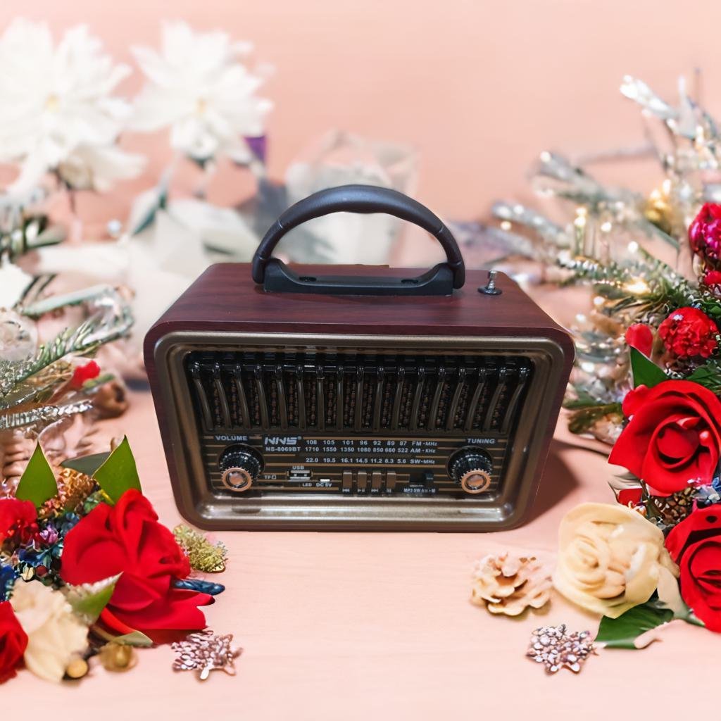 RADIO VINTAGE PRO