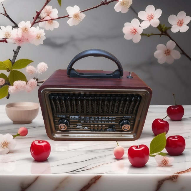 RADIO VINTAGE PRO